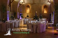 Andy Collins Wedding DJ 1090043 Image 0